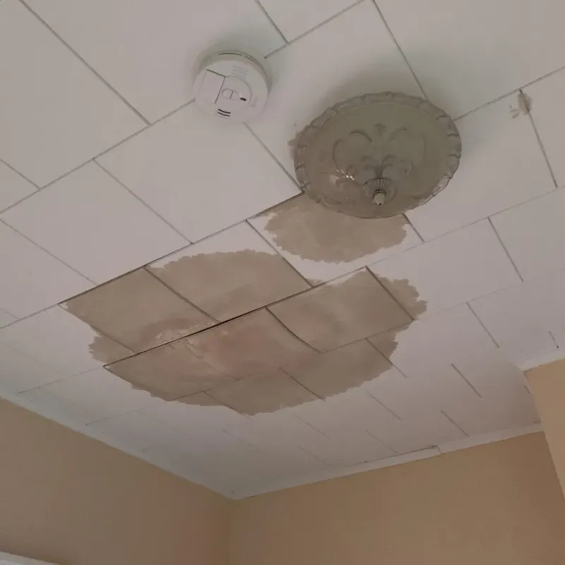Ceiling Water Damage Repair in Boiling Springs, PA