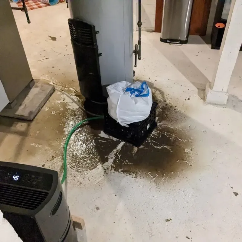 Sewage Backup Cleanup Service in Boiling Springs, PA